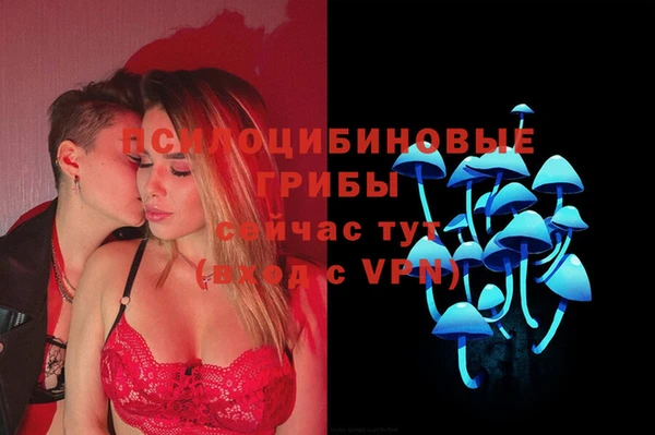 трава Ладушкин