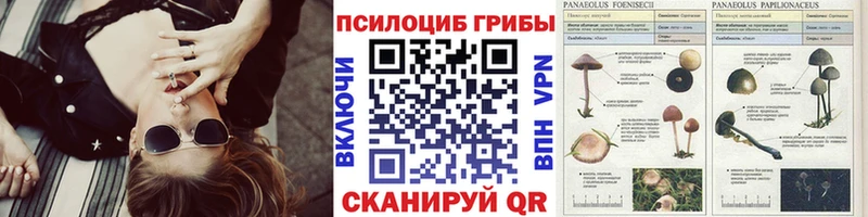 наркошоп  Людиново  Псилоцибиновые грибы прущие грибы 